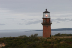 vpxiGayHead Light