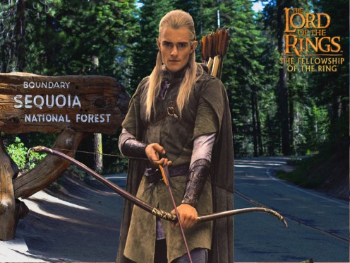Legolas at Sequoia National Forest
